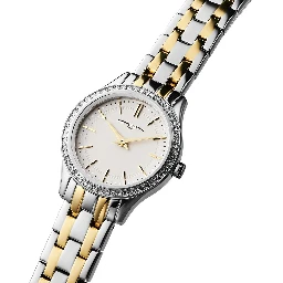 Gray Stainless Steel Dress Watch