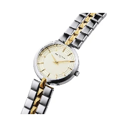 Gray Stainless Steel Dress Watch