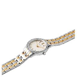 Gray Stainless Steel Dress Watch