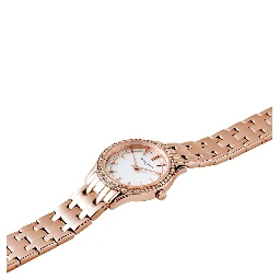 Multicolor Stainless Steel Dress Watch