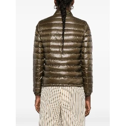 معاطف هيرنو