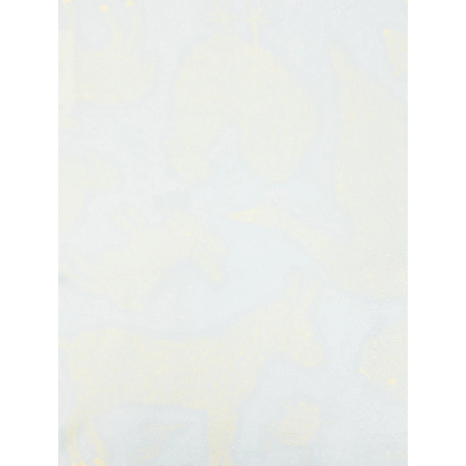 JACQUEMUS Scarfs