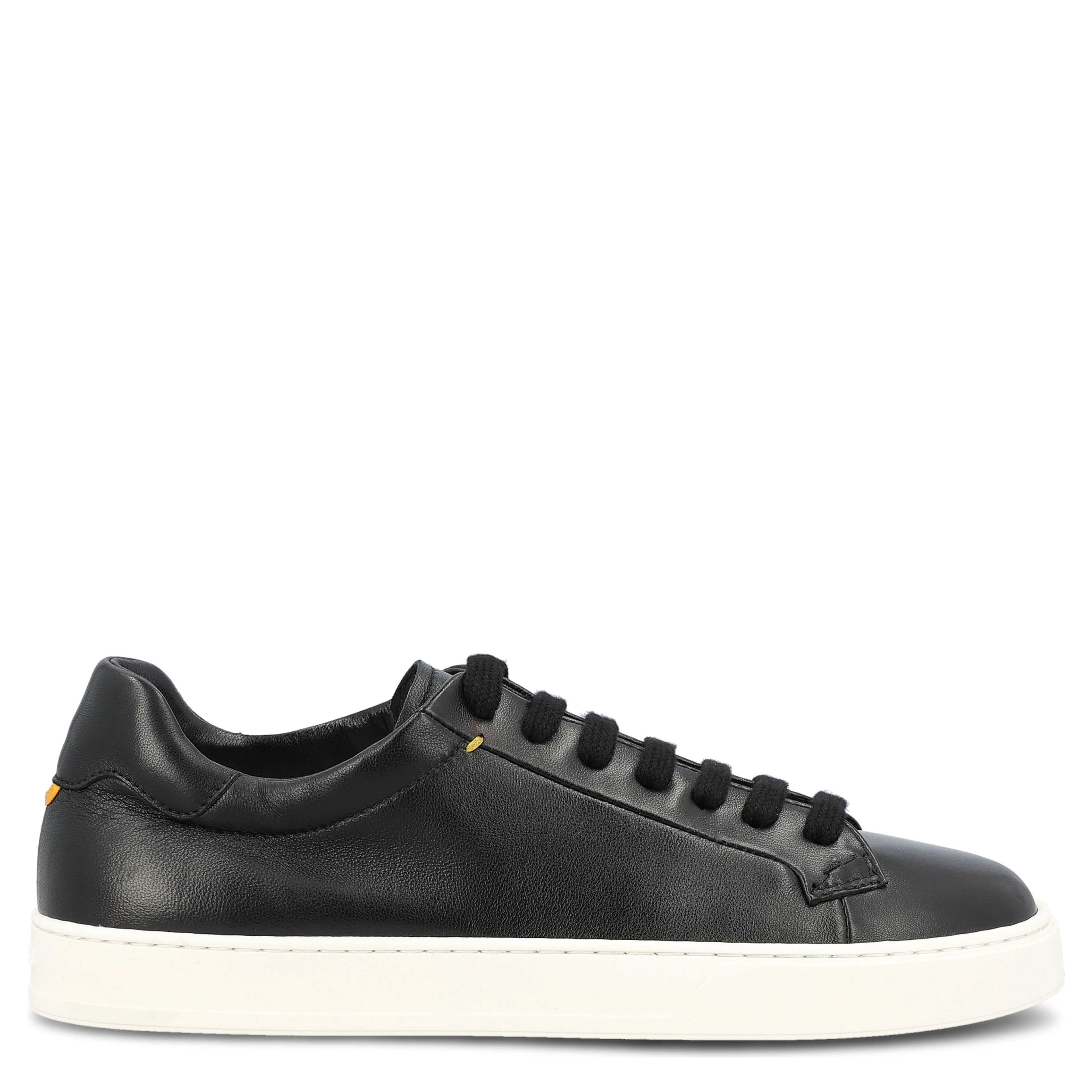 Doucal's Sneakers