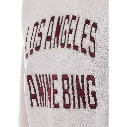 كنزات أنين بينغ الرمادية