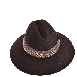 Brown Metal Fedora