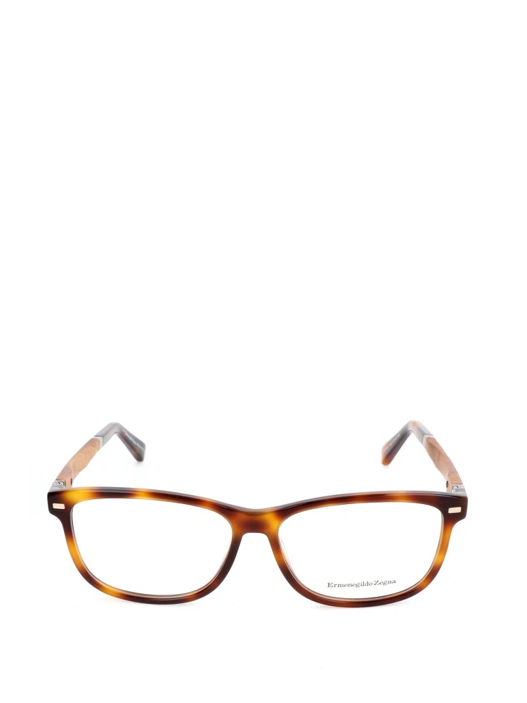 Brown Acetate Glasses (Frames)