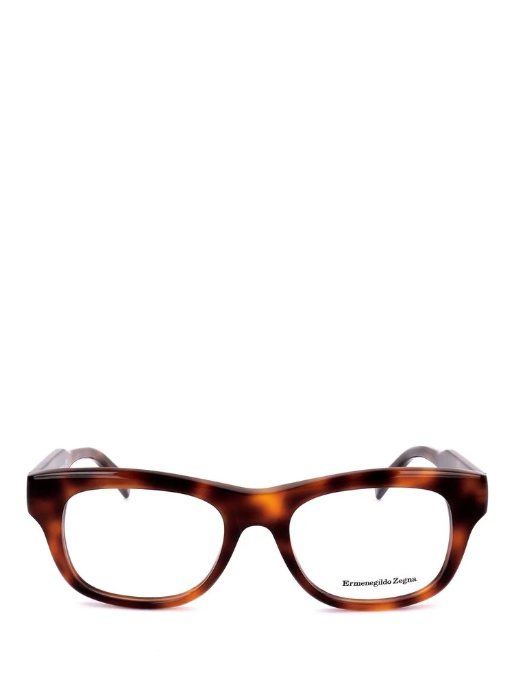 Brown Resin Glasses (Frames)