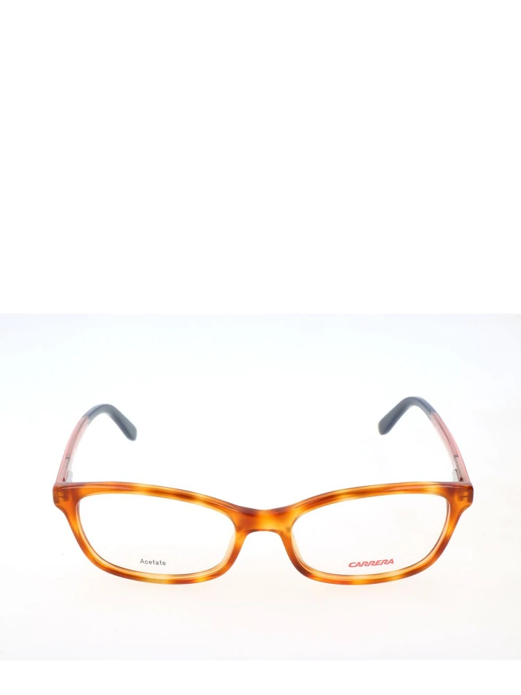 Brown Acetate Glasses (Frames)