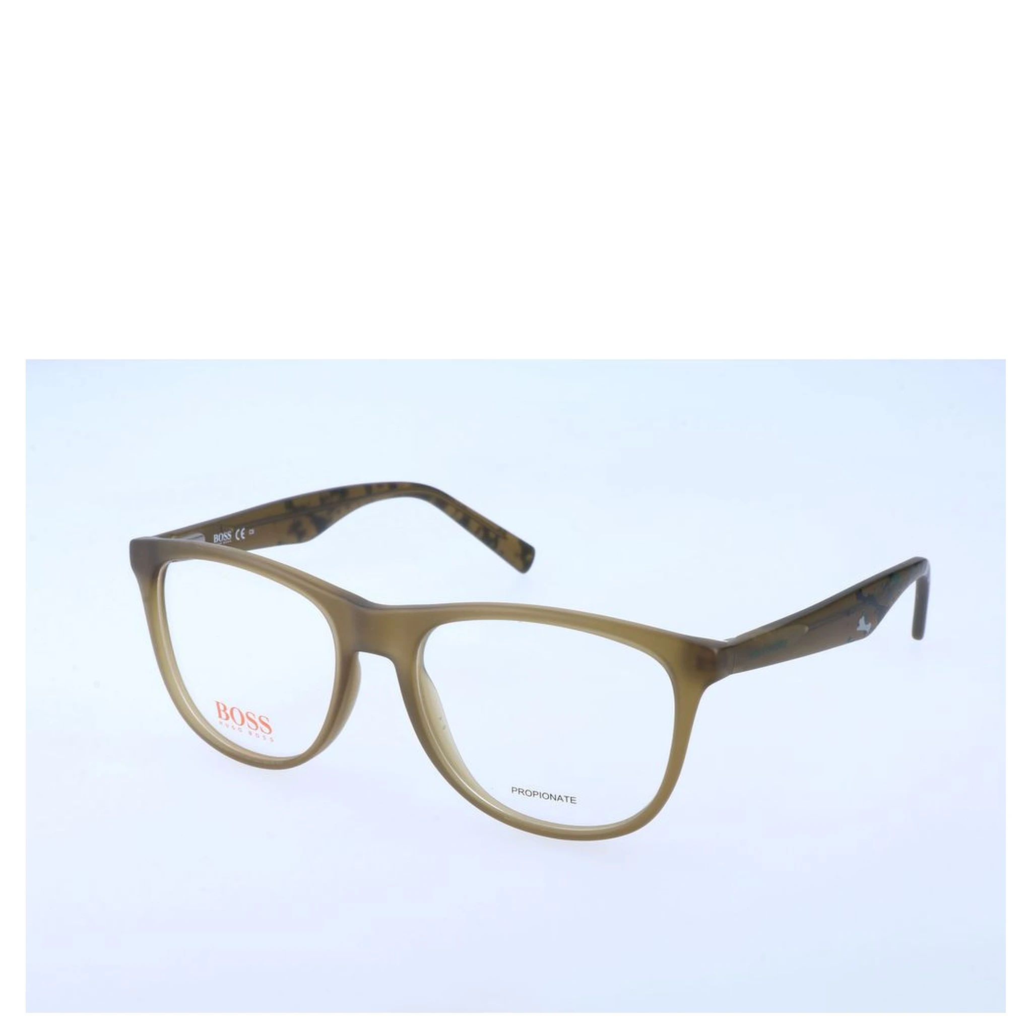 Bicolor Injected Glasses (Frames)