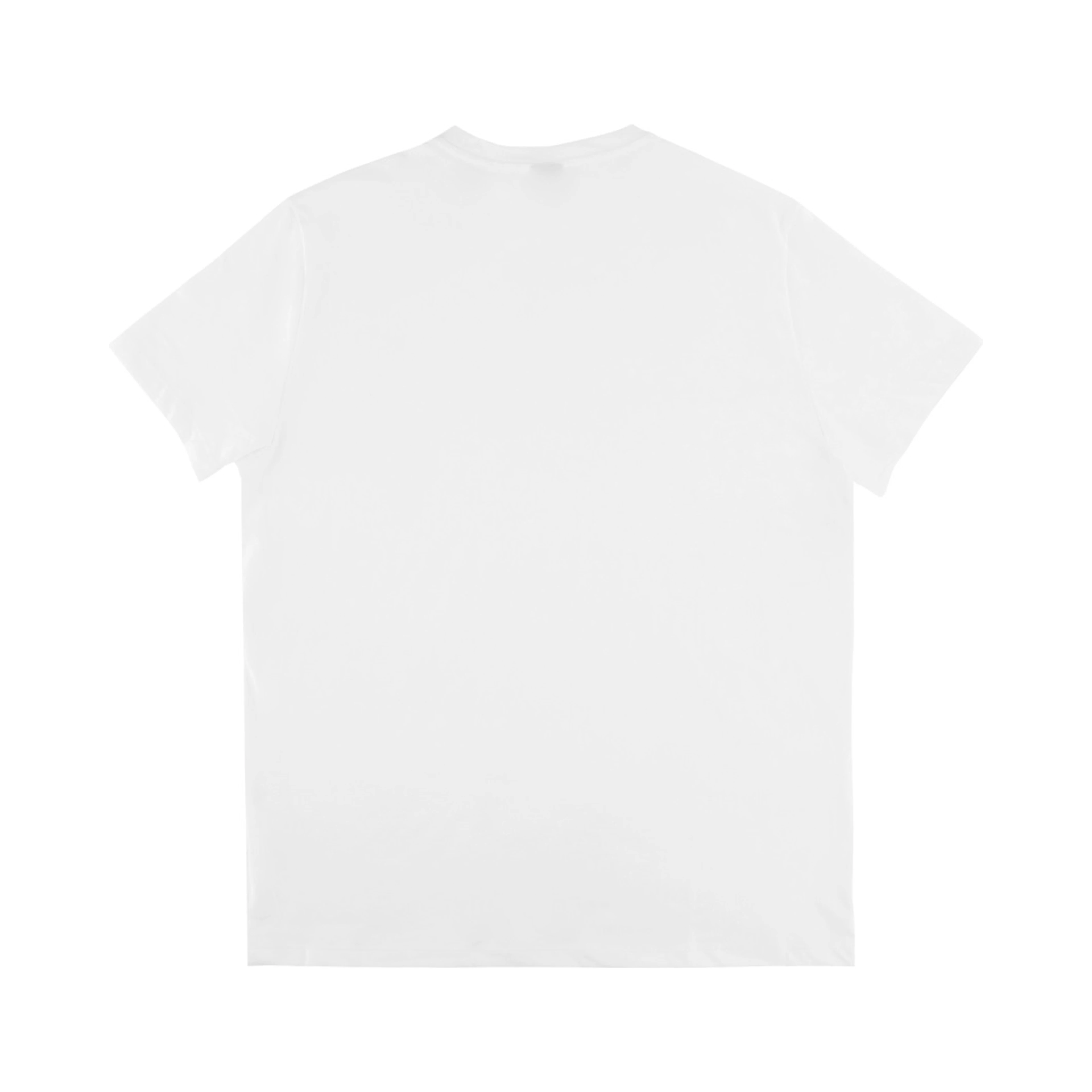 T-SHIRT IN COTONE