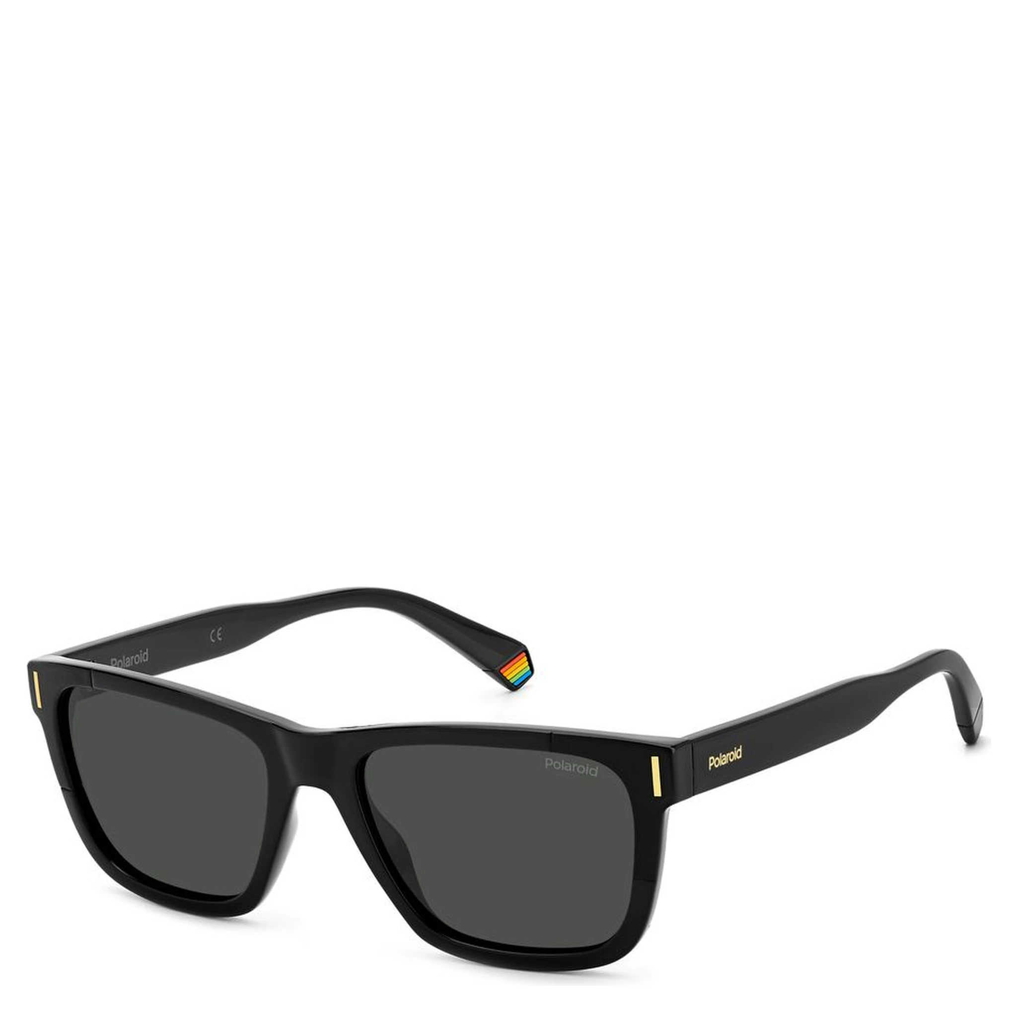 Black Resin Sunglasses