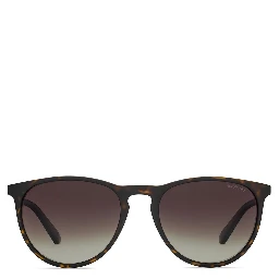 Brown Plastic Sunglasses