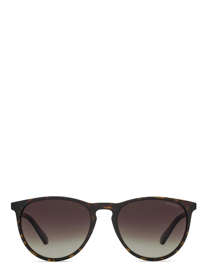 Brown Plastic Sunglasses