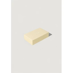 Beige Leather Other Accessories