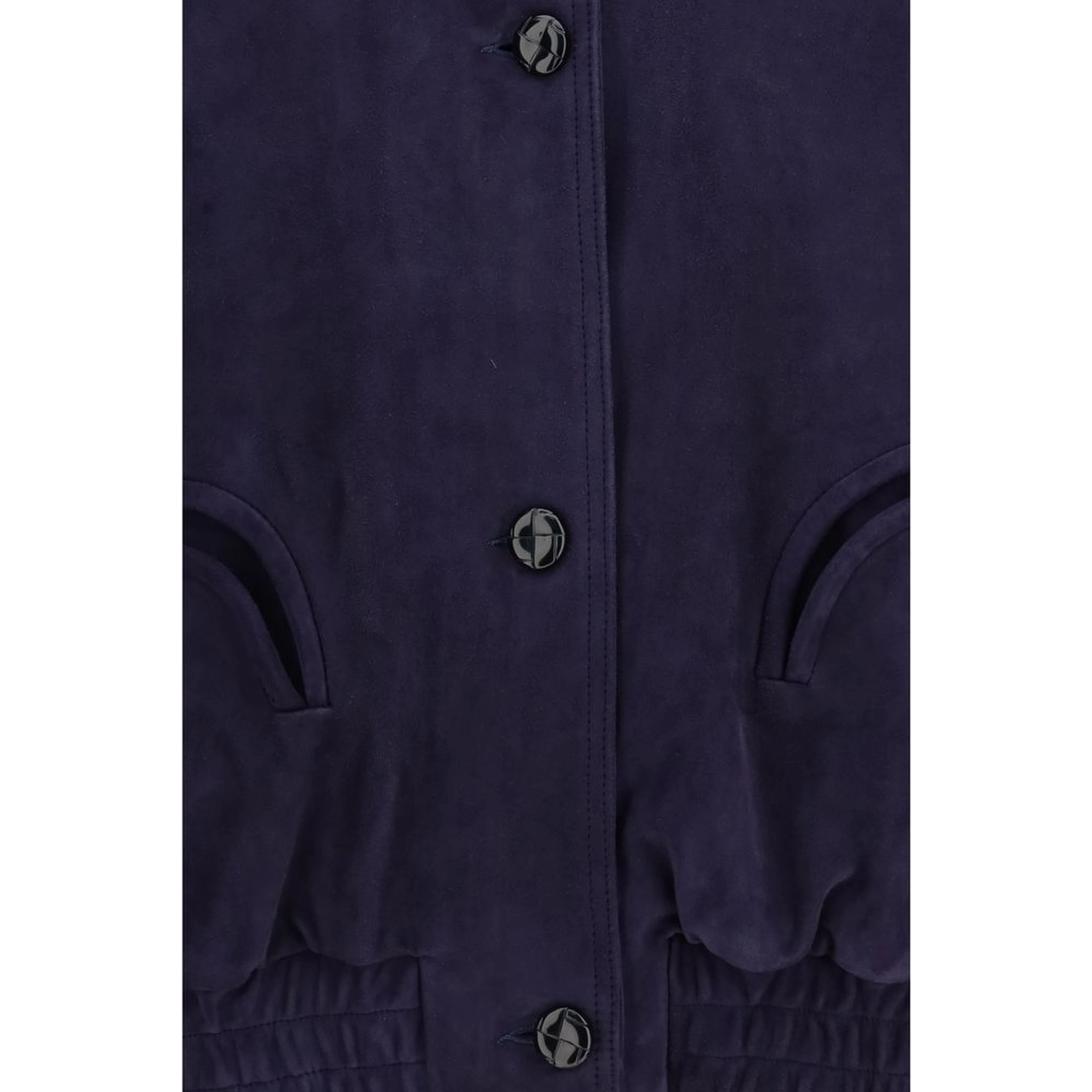 Blue Lamb Ovis Aries Aries Bomber