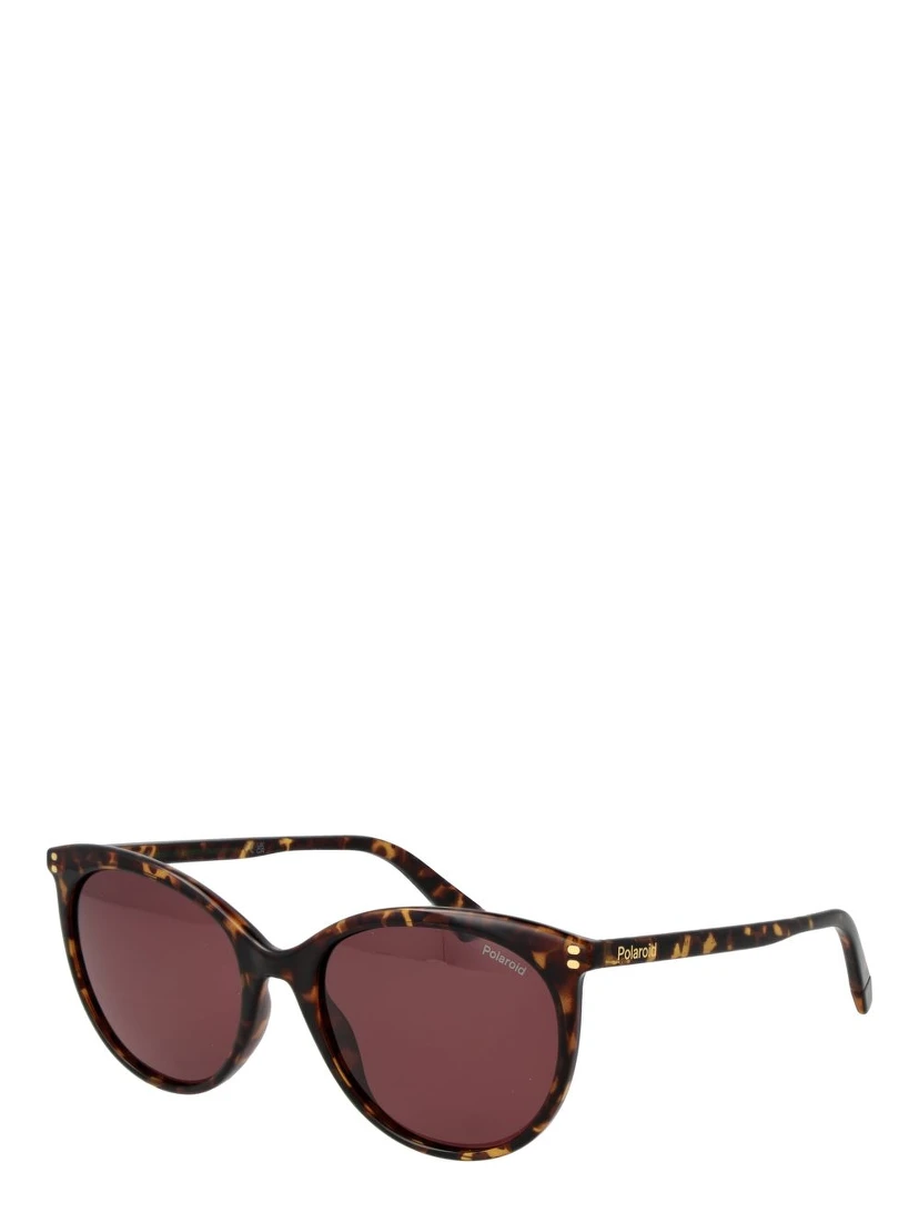 Brown Polycarbonate Sunglasses