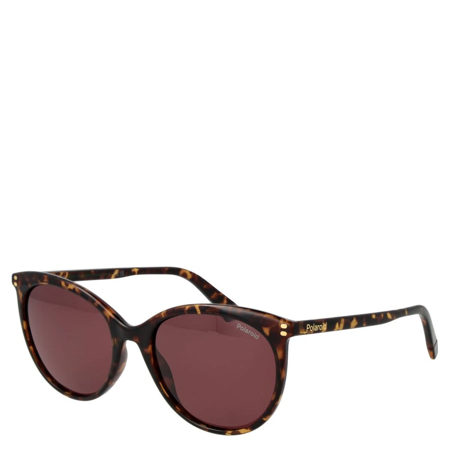 Brown Polycarbonate Sunglasses