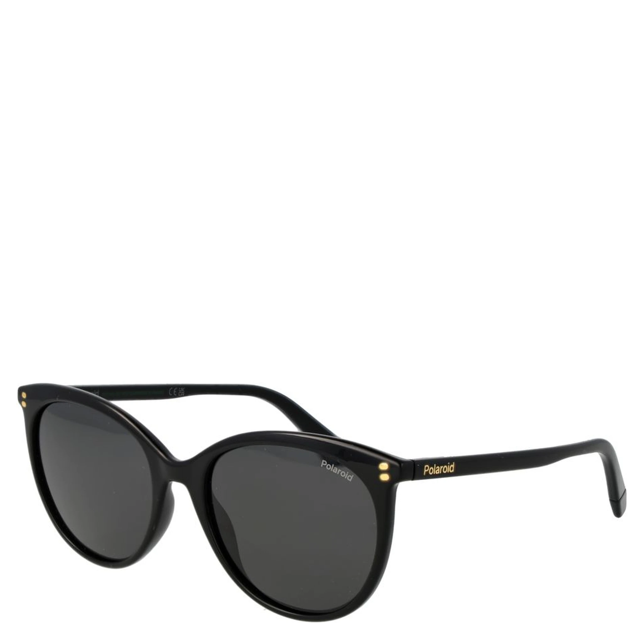 Black Polycarbonate Sunglasses