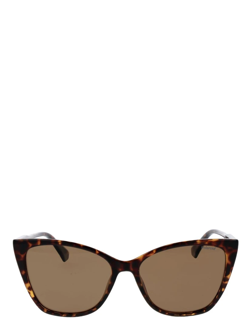 Brown Polycarbonate Sunglasses