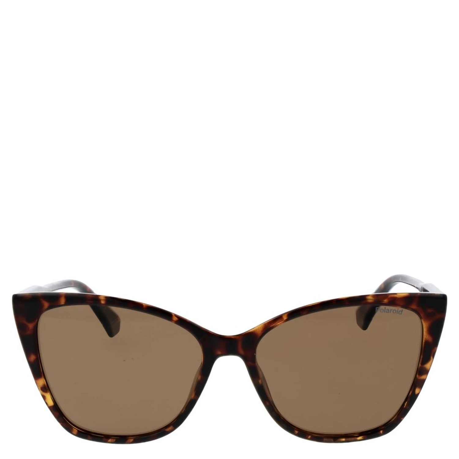 Brown Polycarbonate Sunglasses