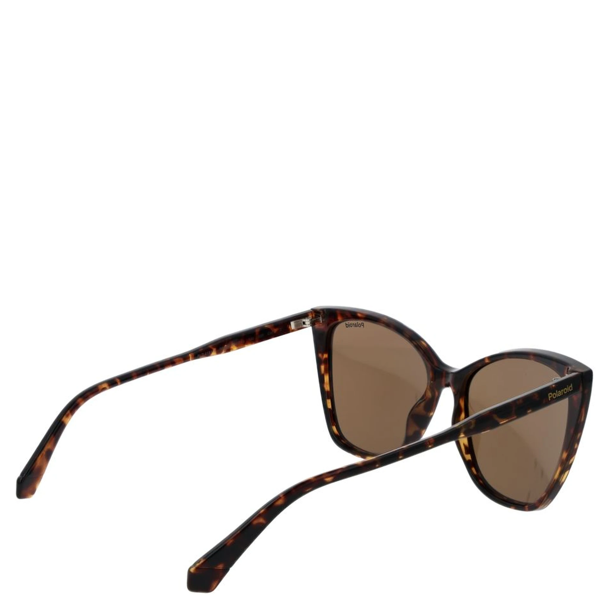 Brown Polycarbonate Sunglasses