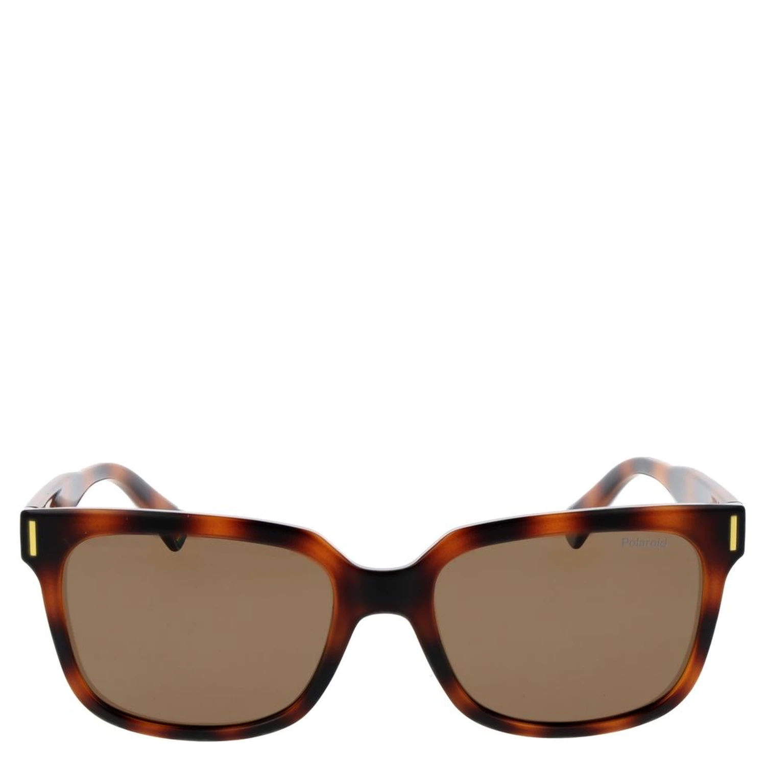 Brown Polycarbonate Sunglasses