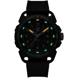 Blue Resin Sport Watch