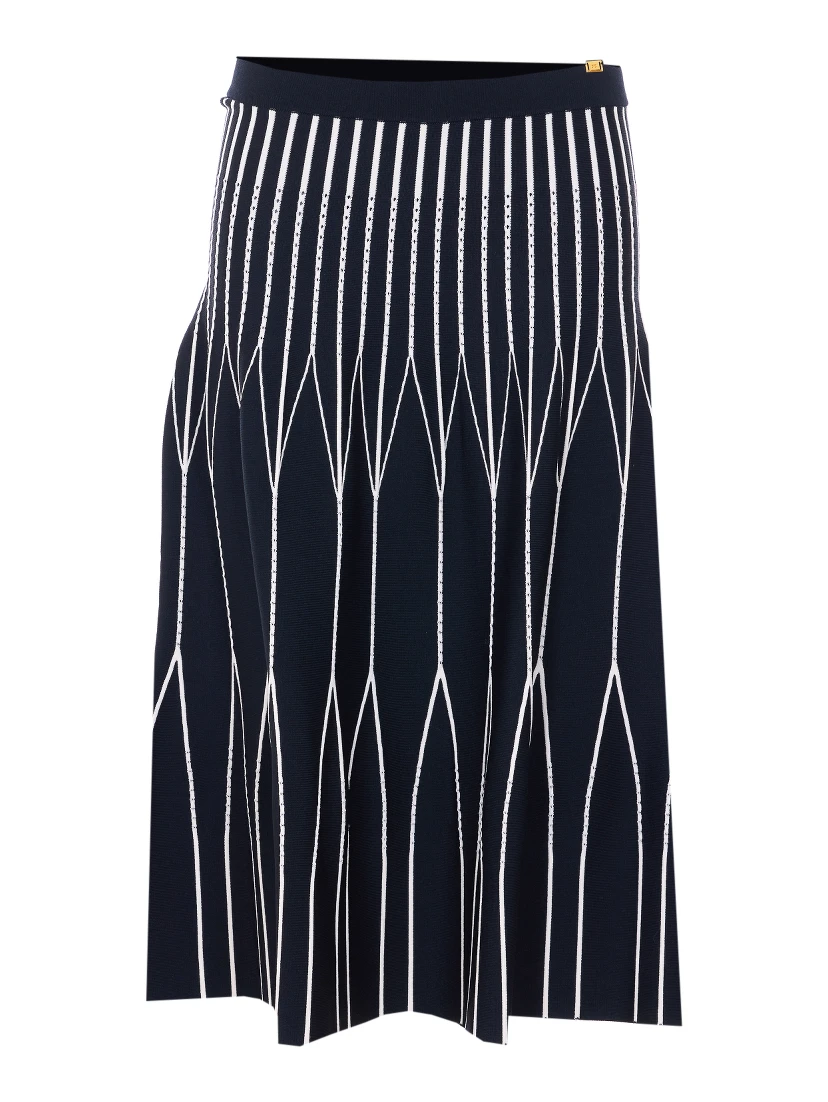 Elisabetta Franchi Skirts Black