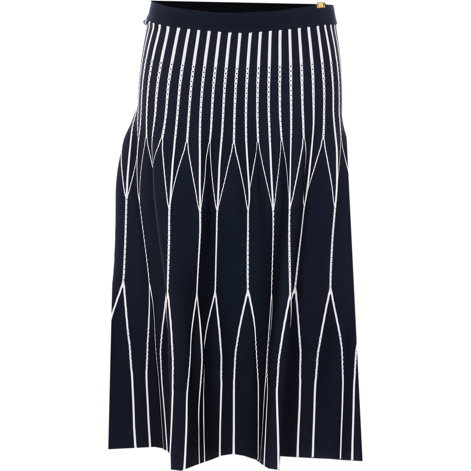 Elisabetta Franchi Skirts Black