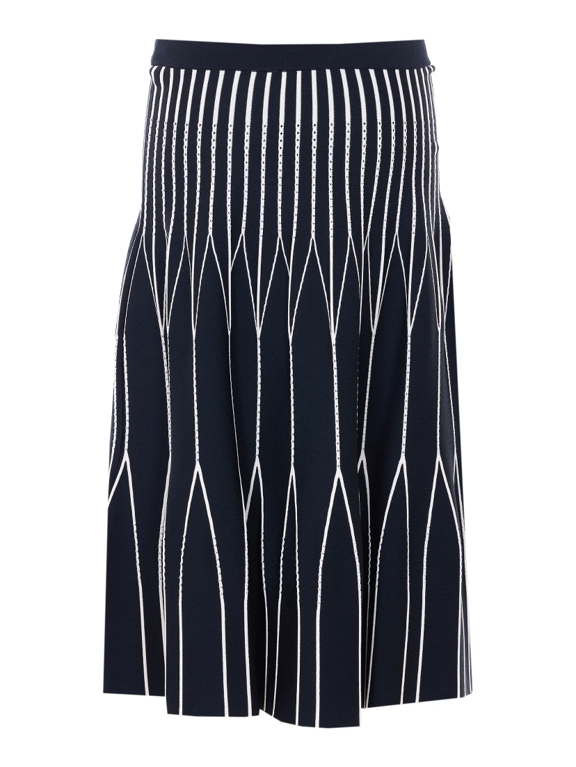 Elisabetta Franchi Skirts Black