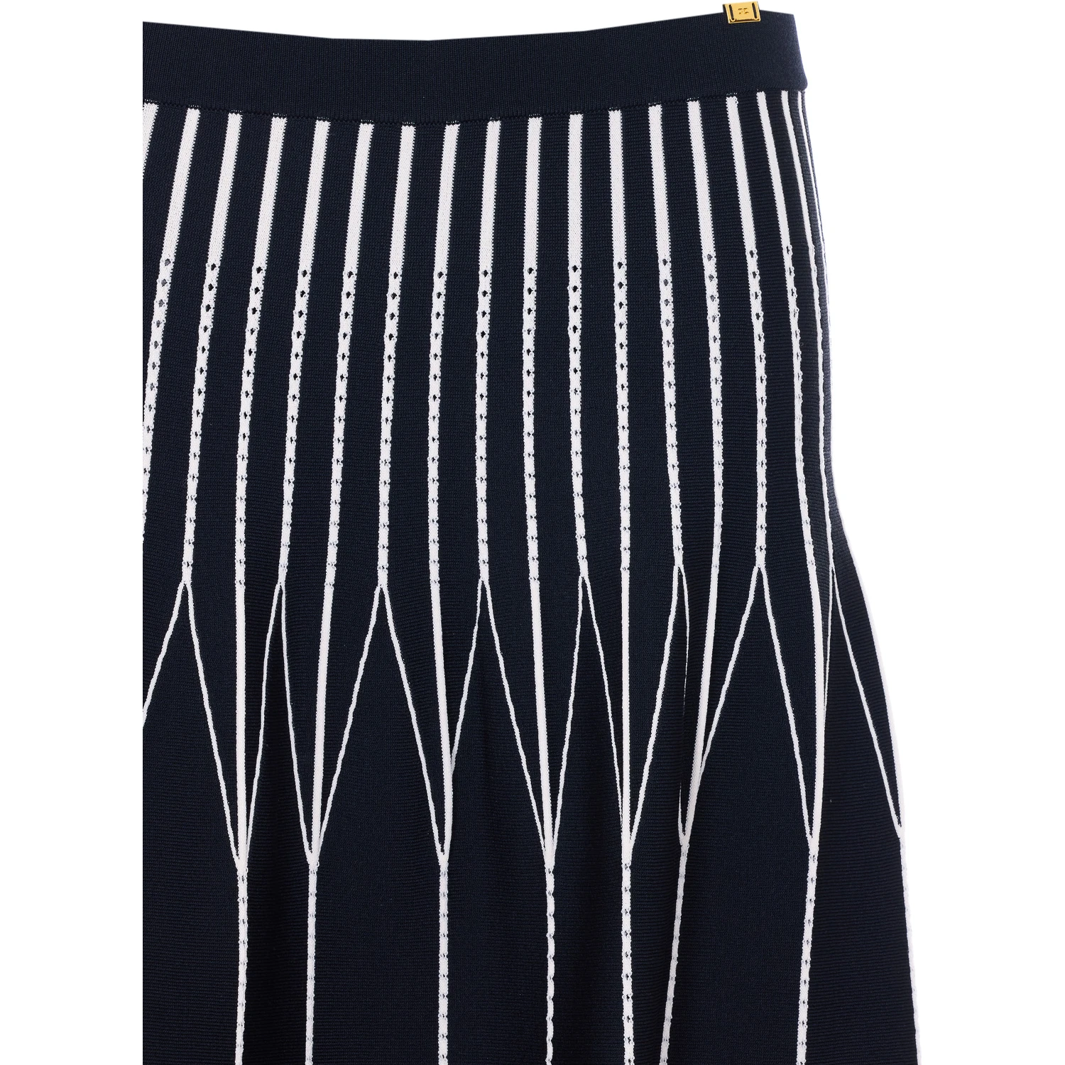 Elisabetta Franchi Skirts Black