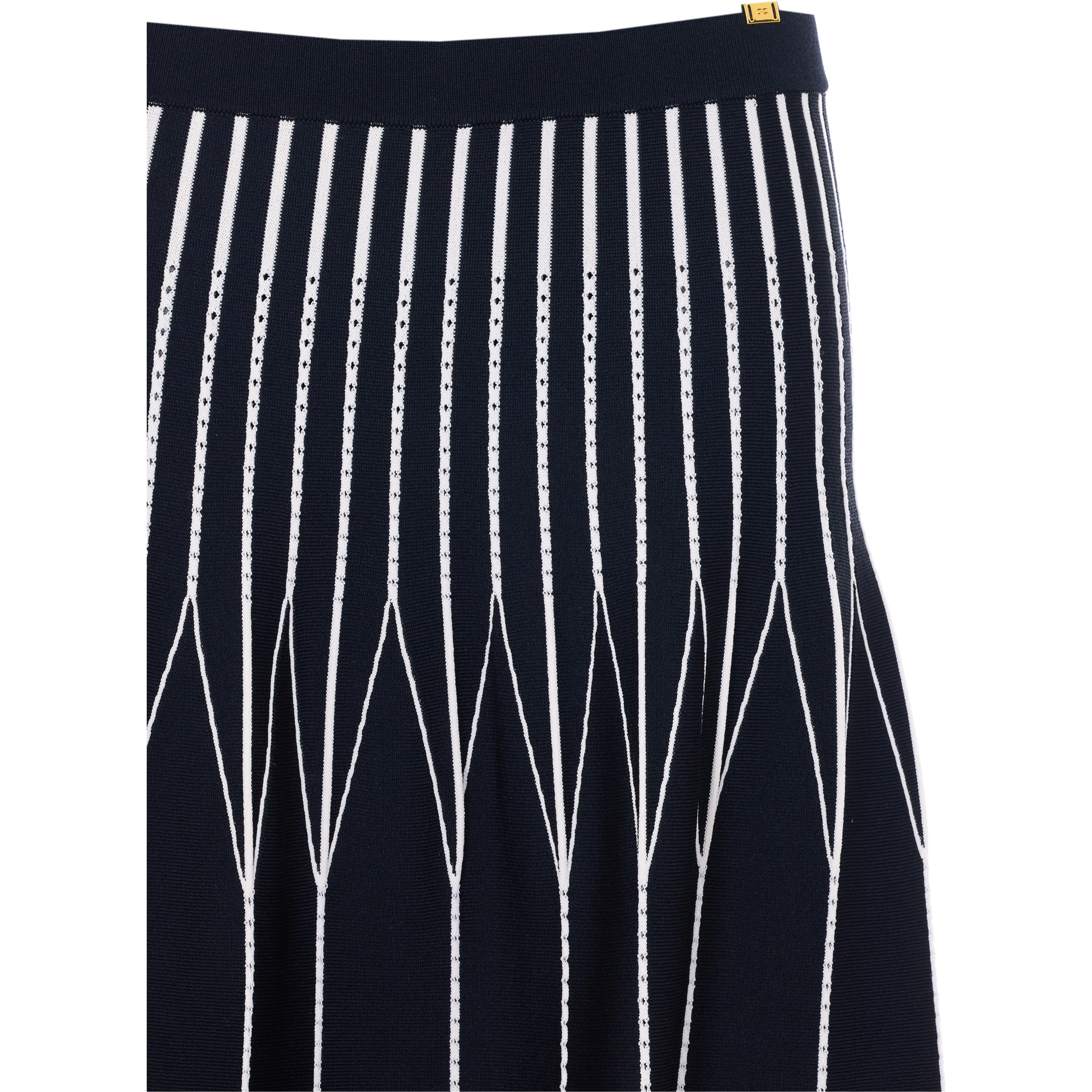 Elisabetta Franchi Skirts Black