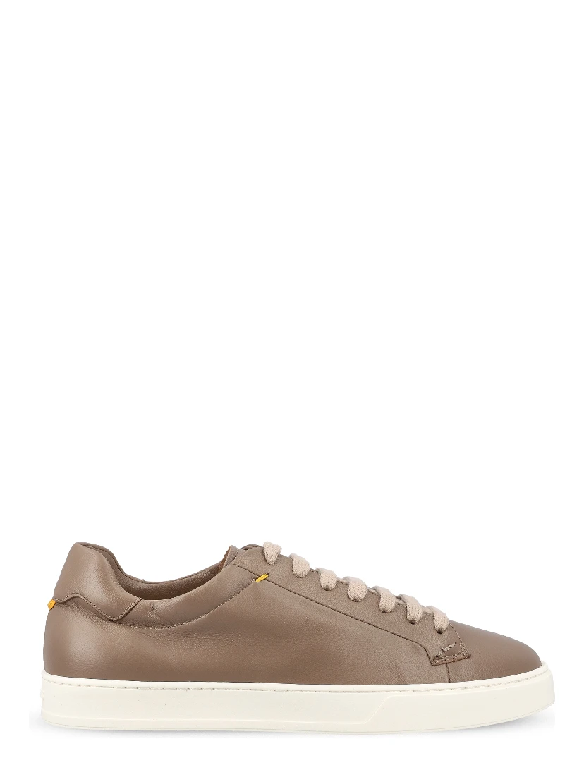 Doucal's Sneakers