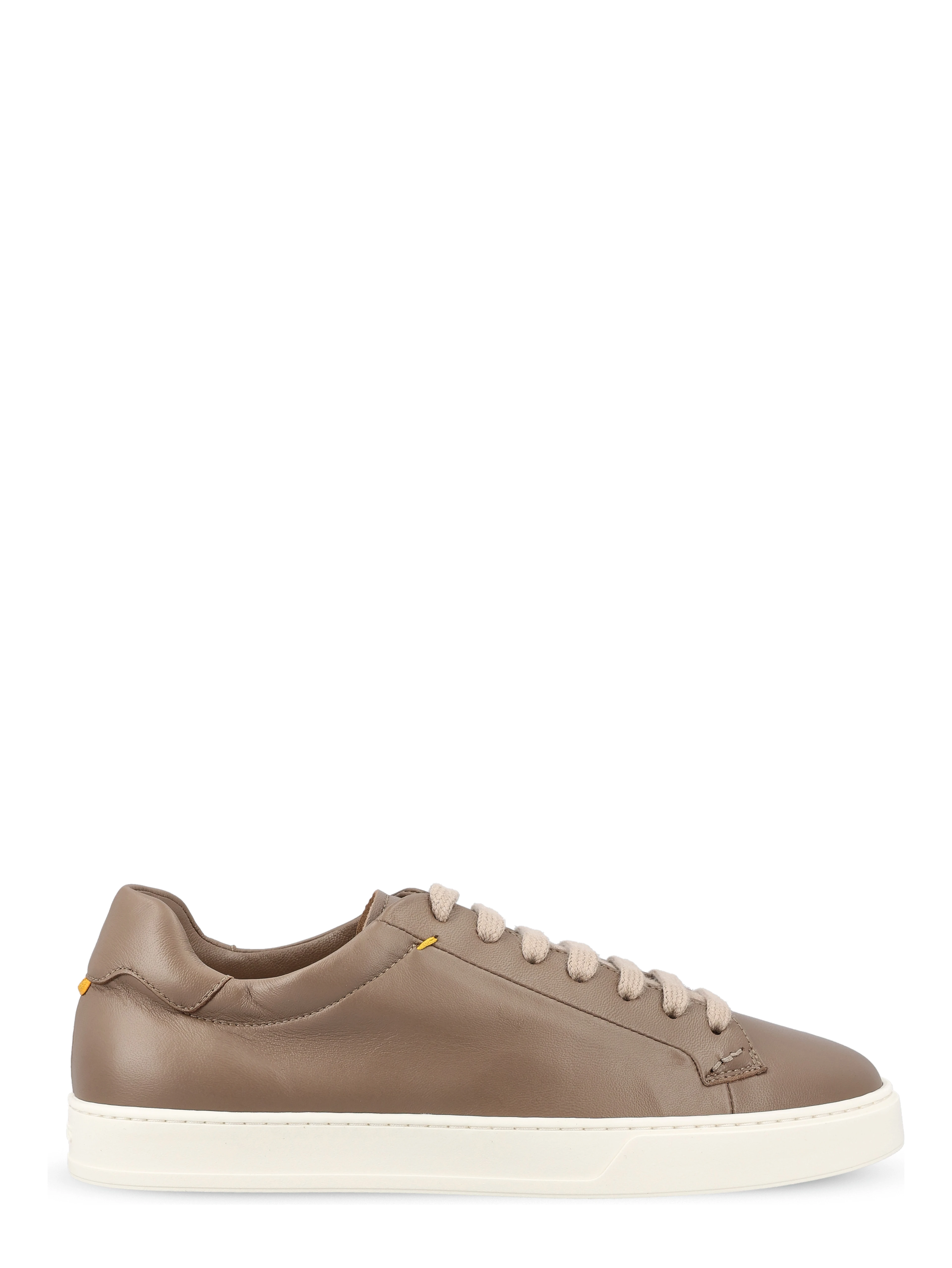 Doucal's Sneakers
