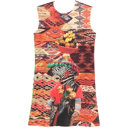 THE ARTISTYLIST Dresses MultiColour