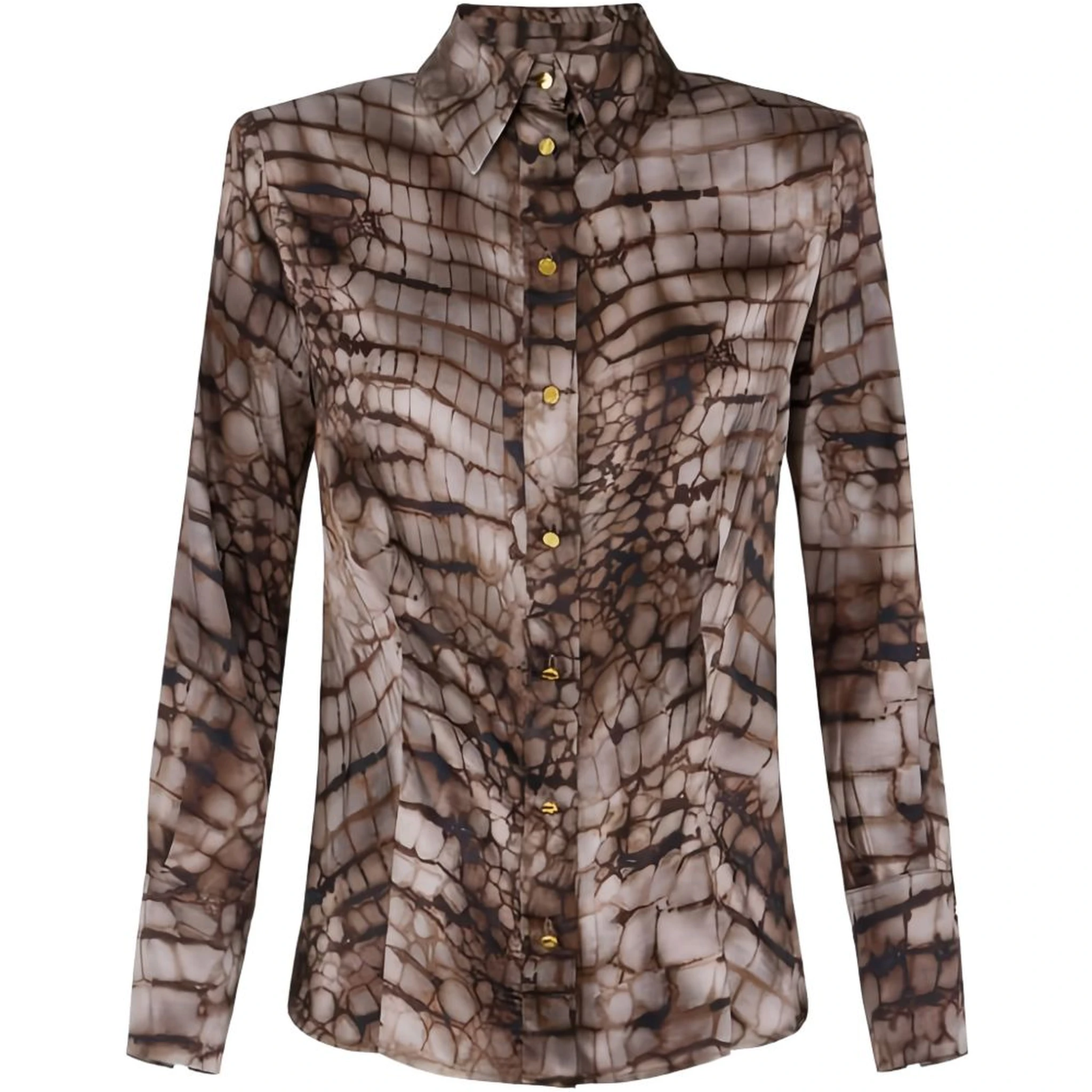 Elisabetta Franchi Shirts Brown