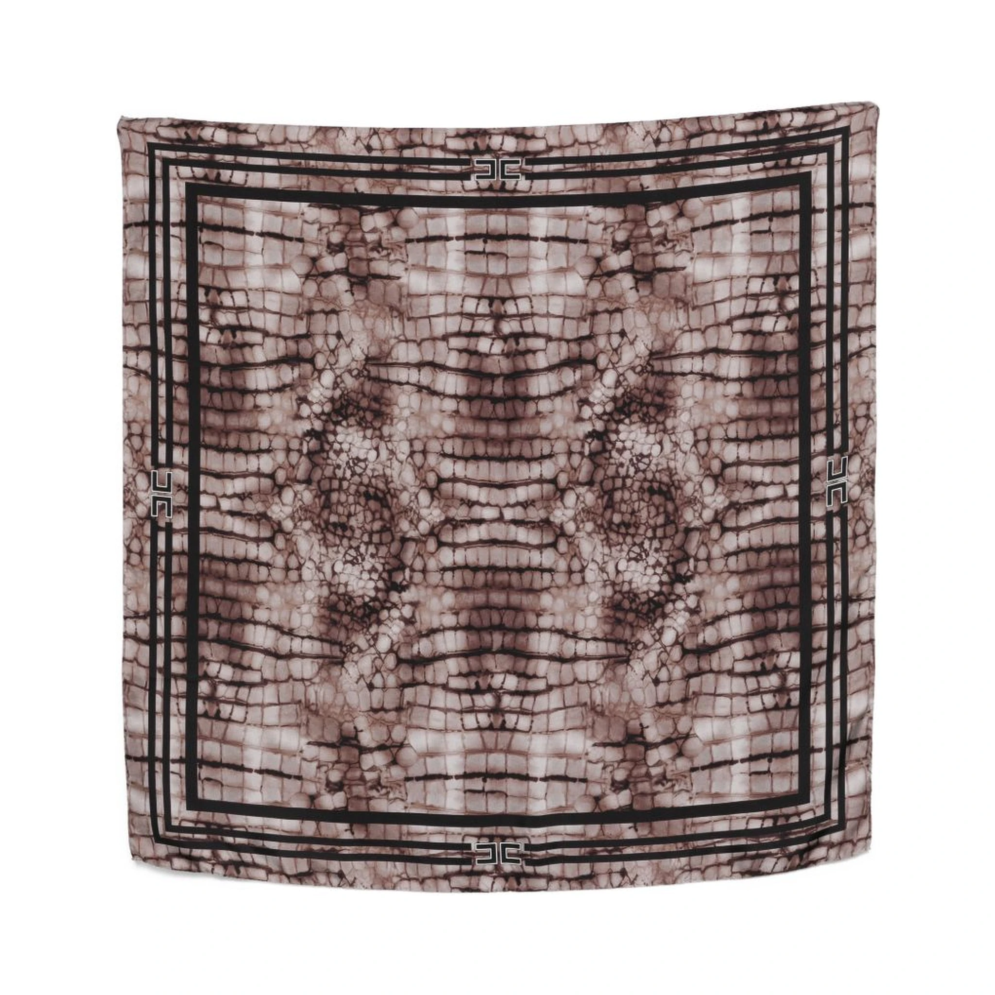 Elisabetta Franchi Scarfs Brown