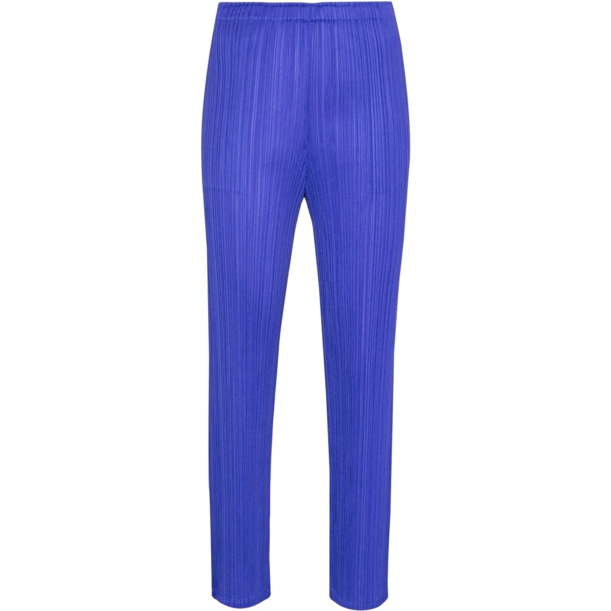 PLEATED PANTS