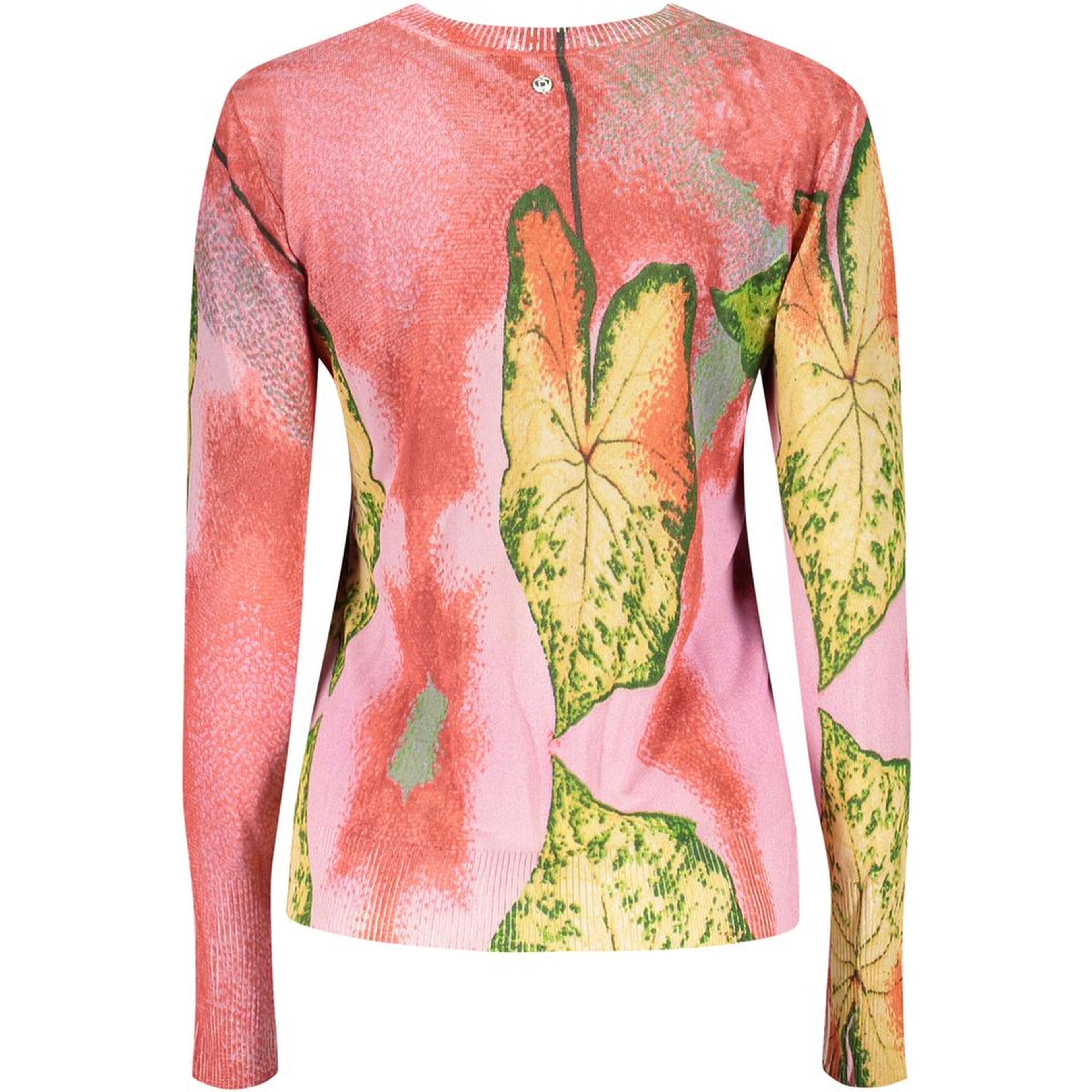 Rosa Viscosa Women Sweater