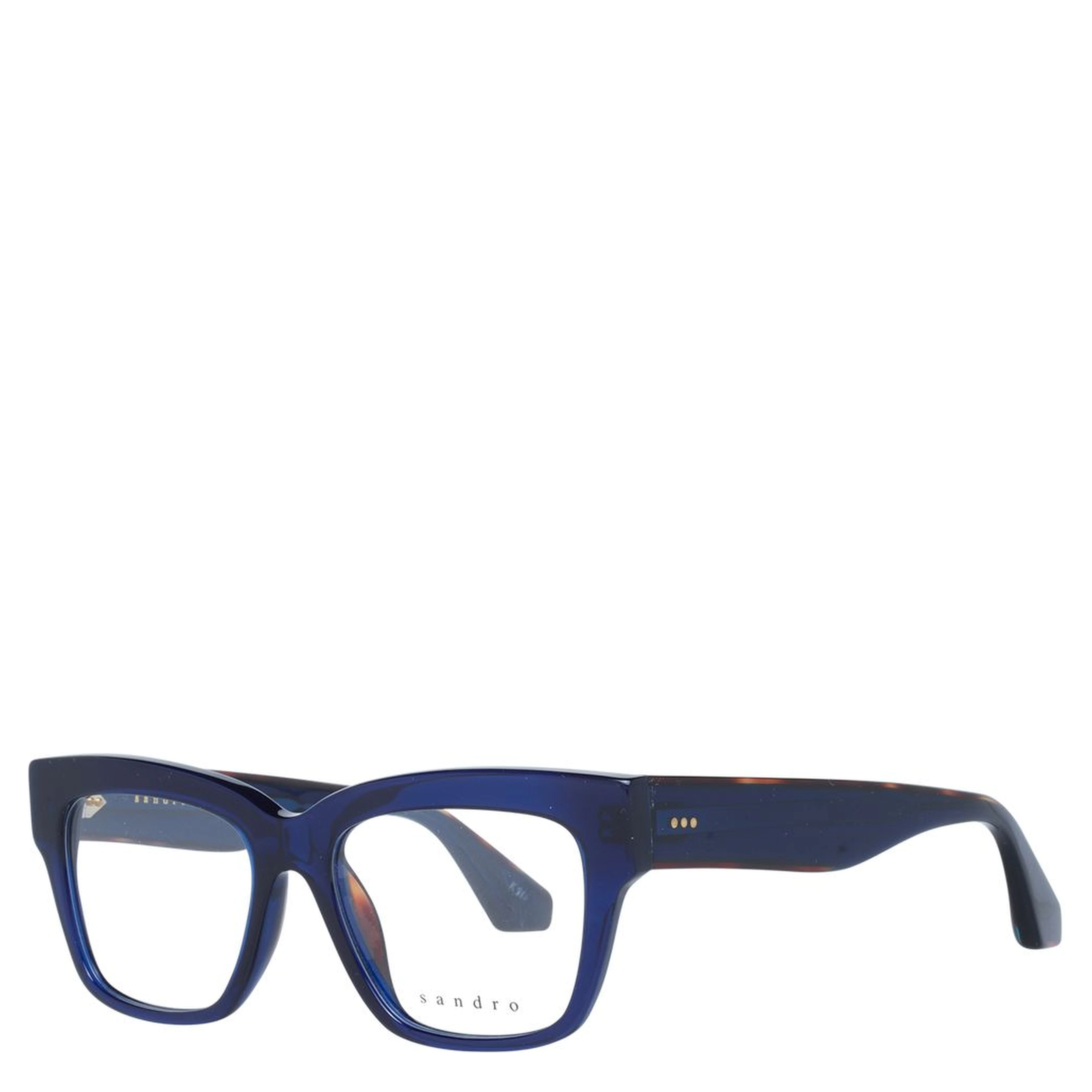 Blue Plastic Glasses (Frames)