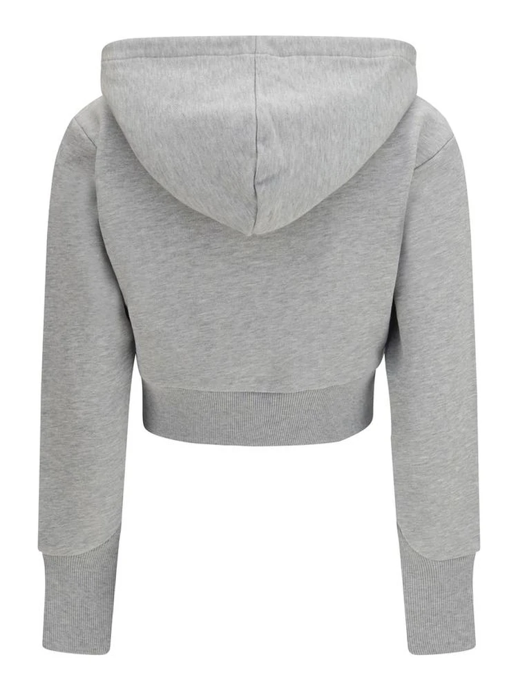 Gray Cotton Sweatshirt alternative