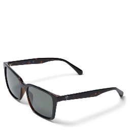 Brown Resin Sunglasses