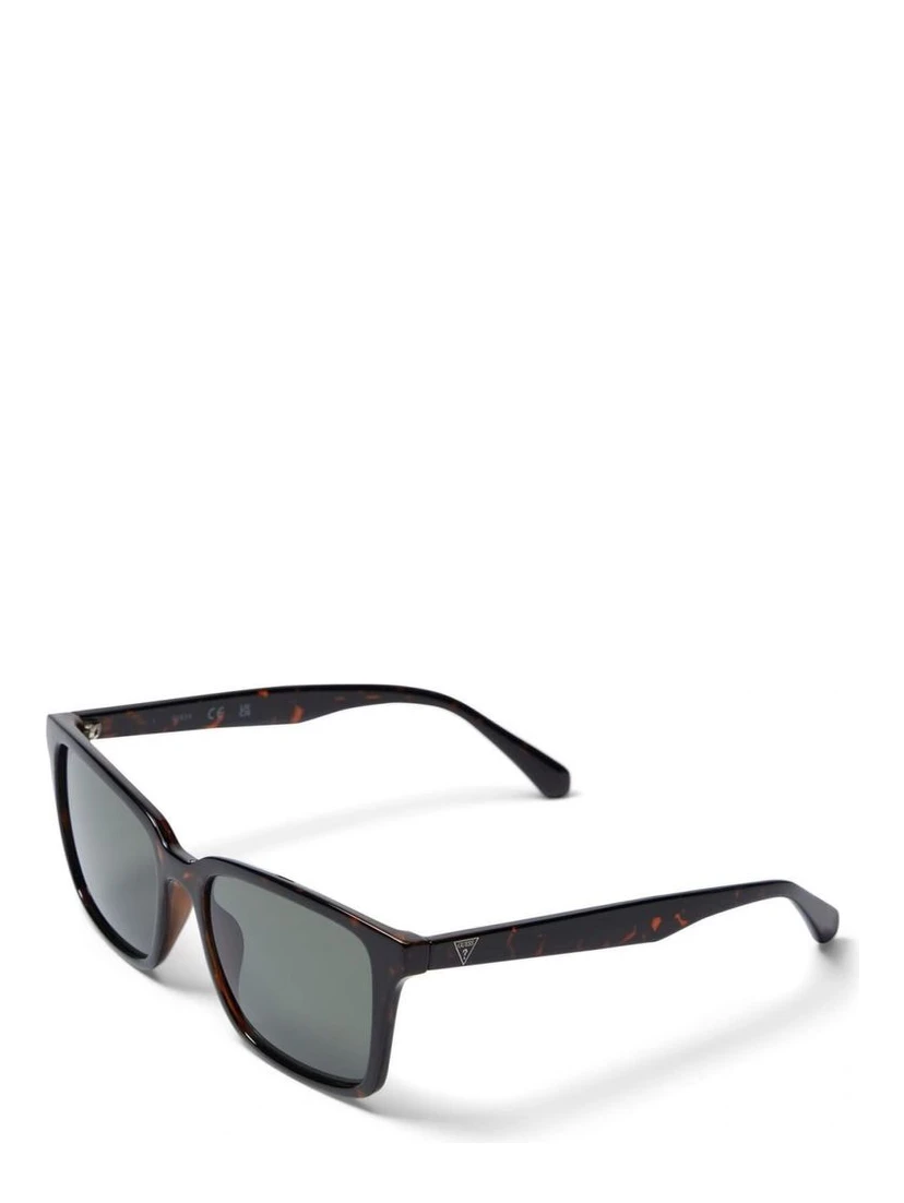 Brown Resin Sunglasses