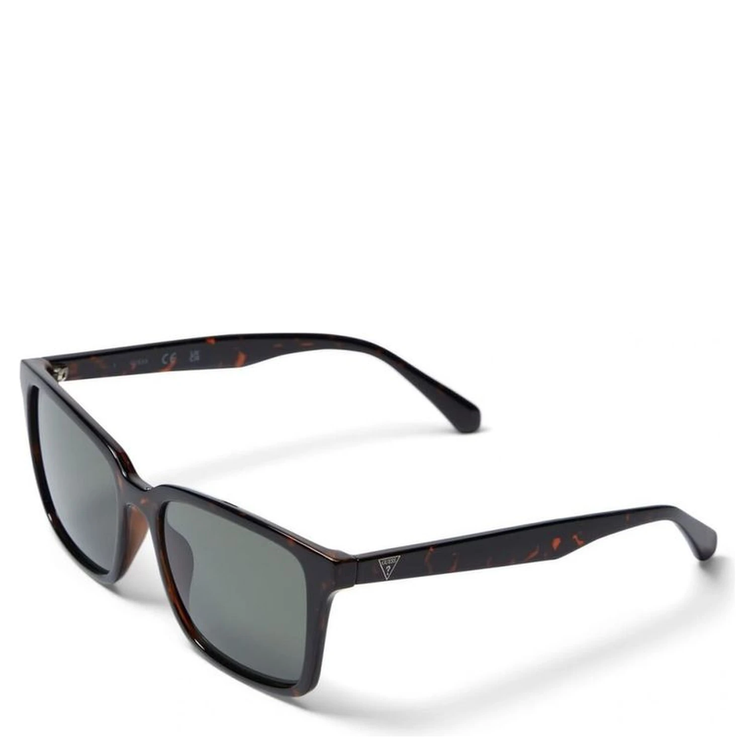 Brown Resin Sunglasses