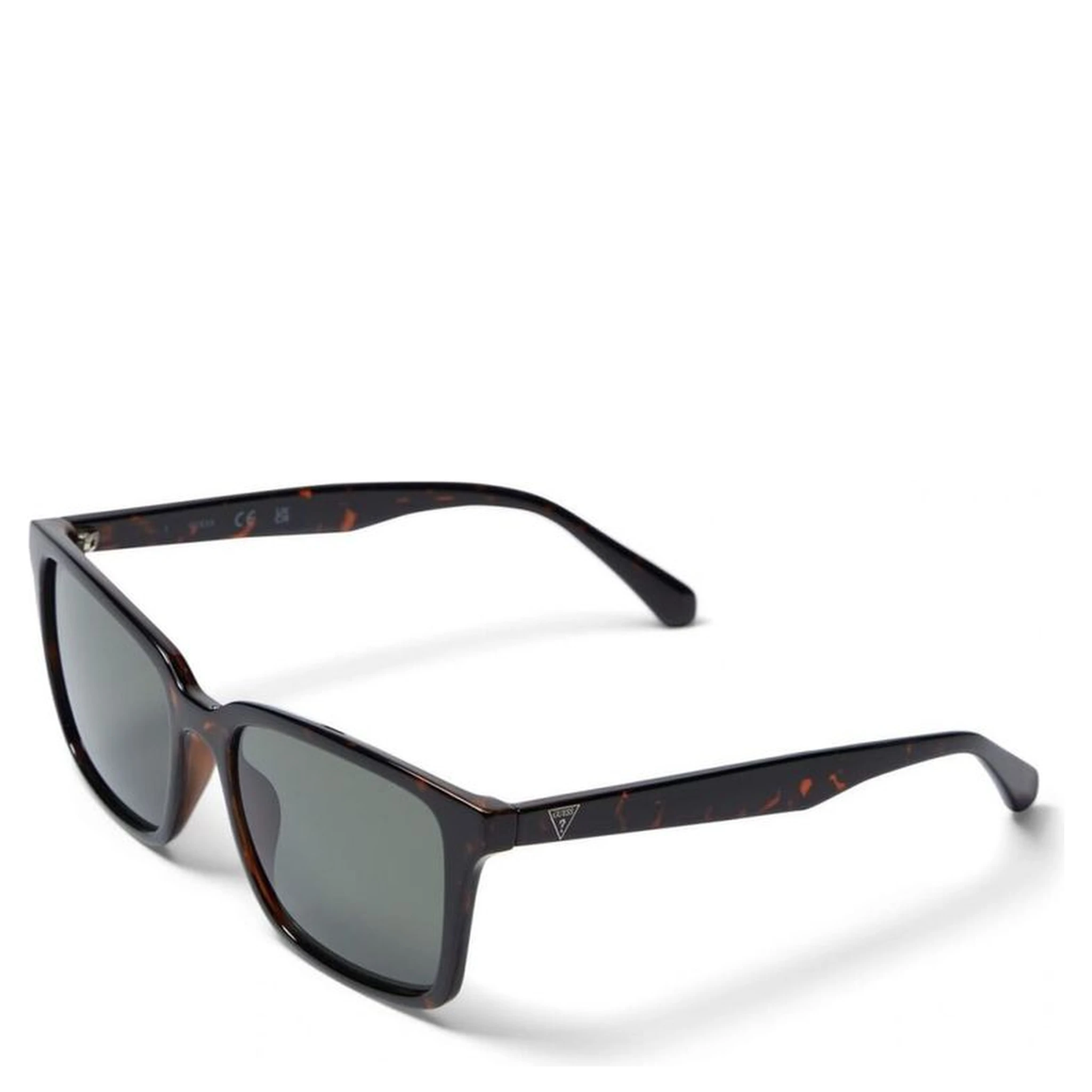 Brown Resin Sunglasses