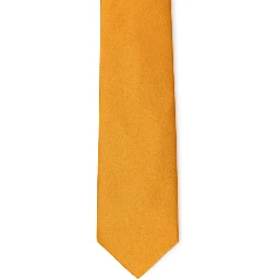 Orange Silk Tie