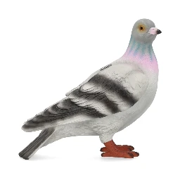 CLUTCH "PIDGEON"