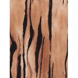 Elisabetta Franchi Scarfs Camel