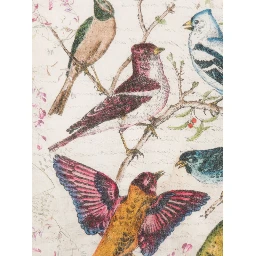 Faliero Sarti Scarfs Green