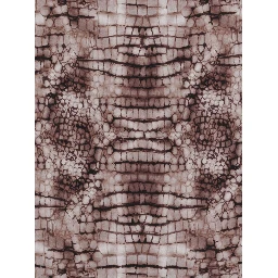 Elisabetta Franchi Scarfs Brown